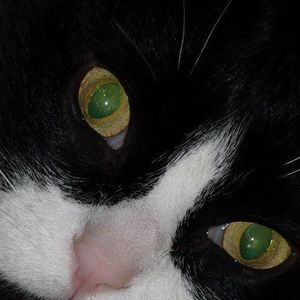 Meet your Posher, Anne